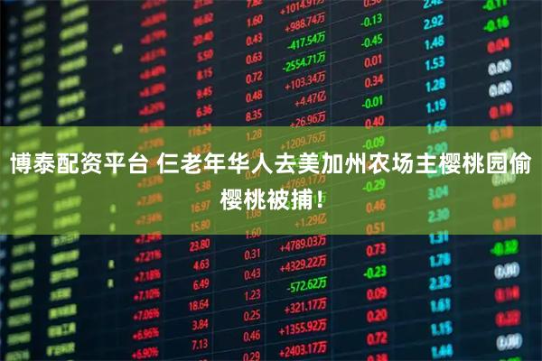 博泰配资平台 仨老年华人去美加州农场主樱桃园偷樱桃被捕!