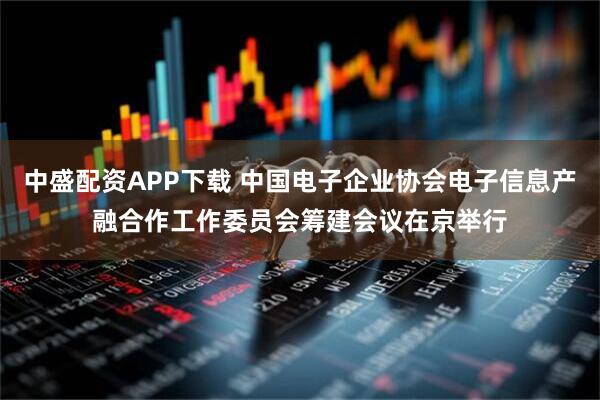 中盛配资APP下载 中国电子企业协会电子信息产融合作工作委员会筹建会议在京举行