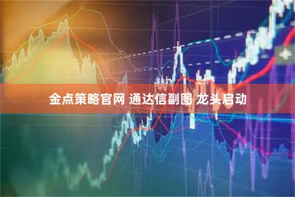 金点策略官网 通达信副图 龙头启动