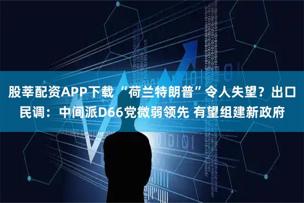股莘配资APP下载 “荷兰特朗普”令人失望?出口民调:中间派D66党微弱领先 有望组建新政府